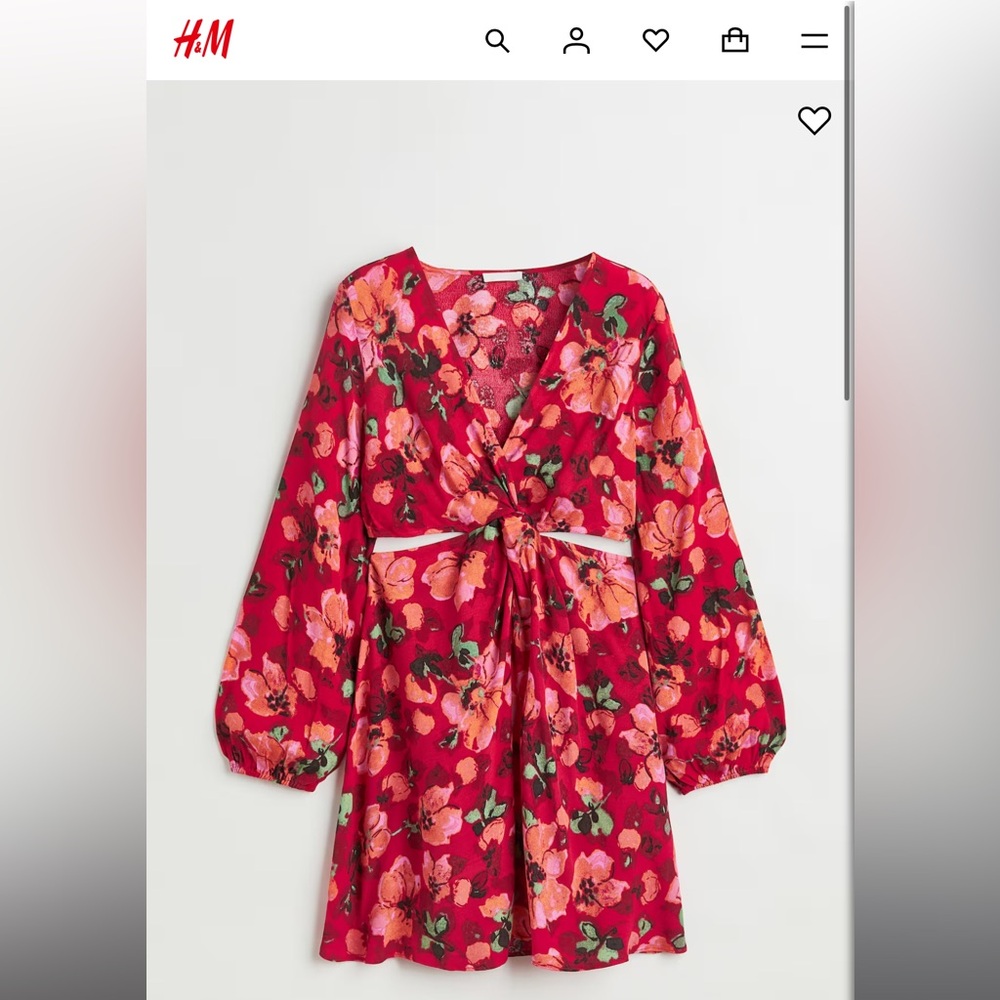 H&M Women's Red Floral Mini Dress